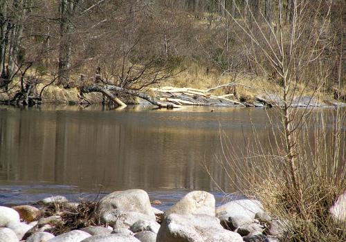 04342_parc_national_des_cevennes.jpg