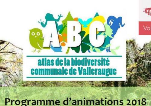 abc_valleraugue.jpg