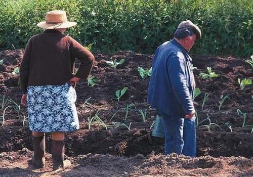 jardiniers_c_pnc.jpg