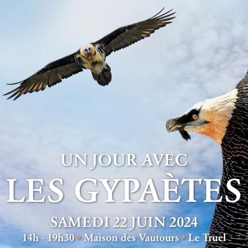 Un jour avec les Gypa