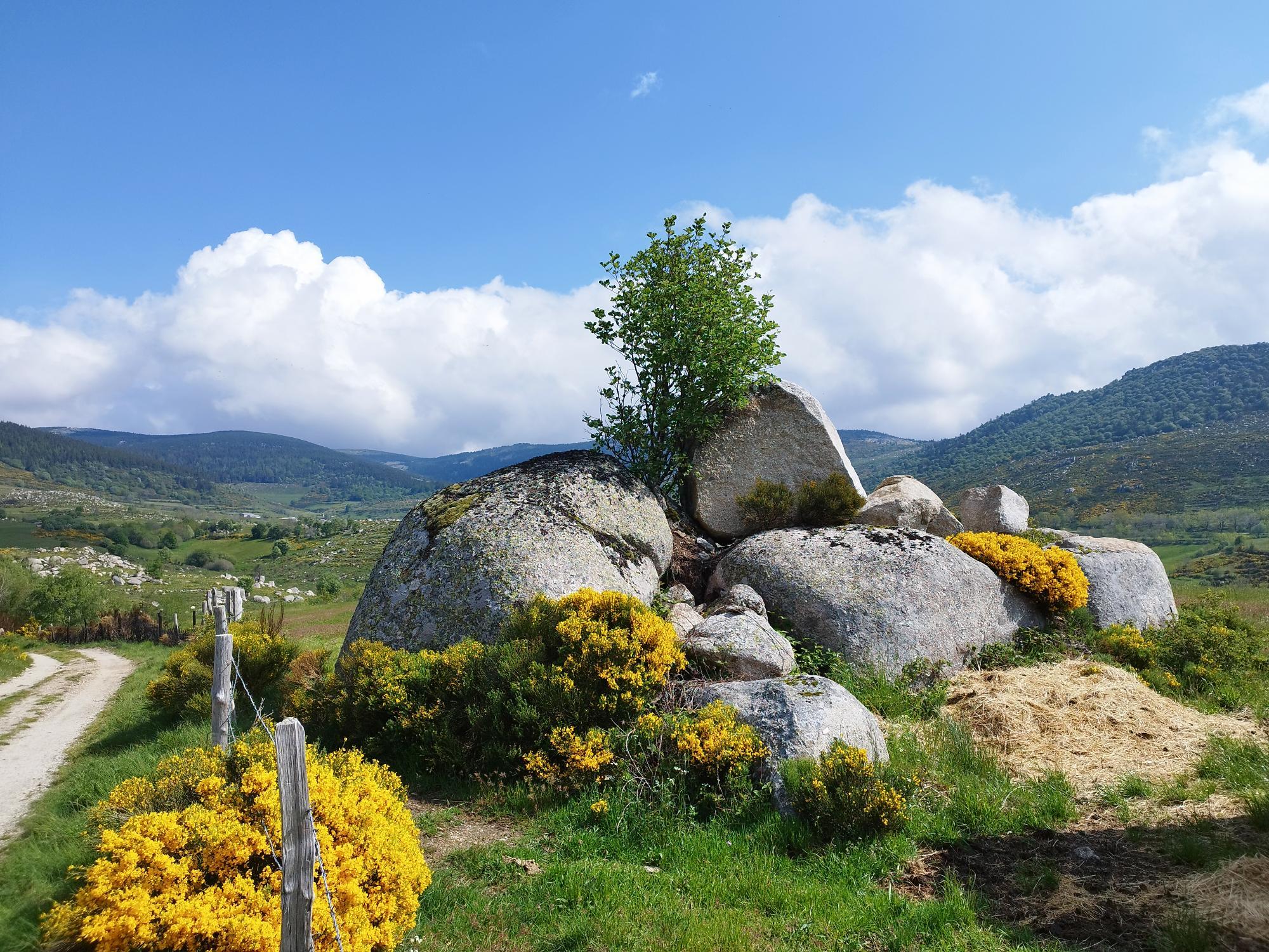 Mont lozere