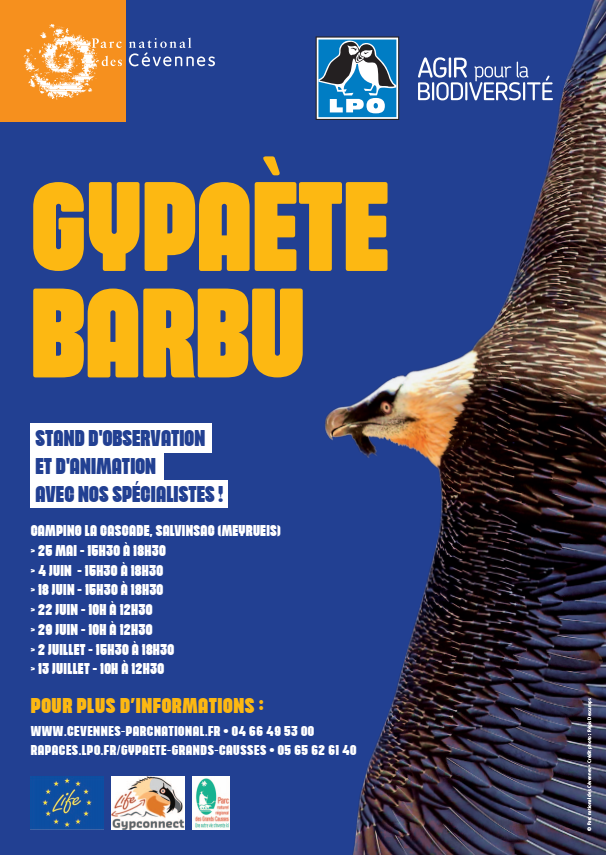 affiche_anim_gypa.png