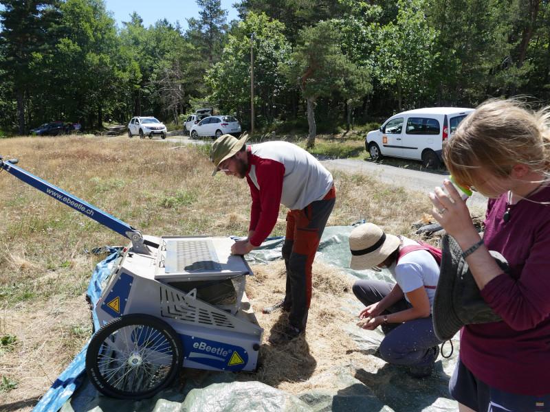 epandage_des_graines_sur_bache_diap.jpg