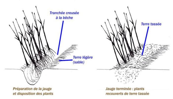 jaugeok.jpg