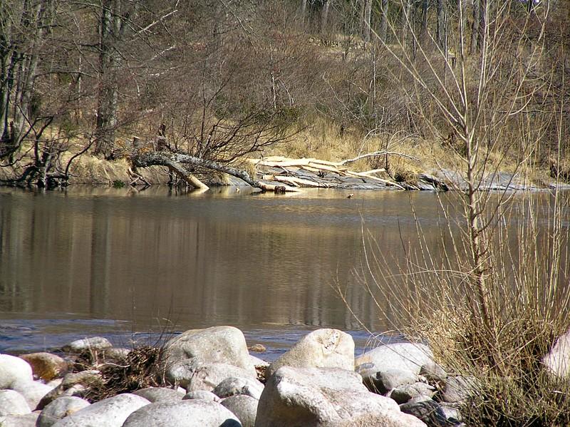 04342_parc_national_des_cevennes.jpg