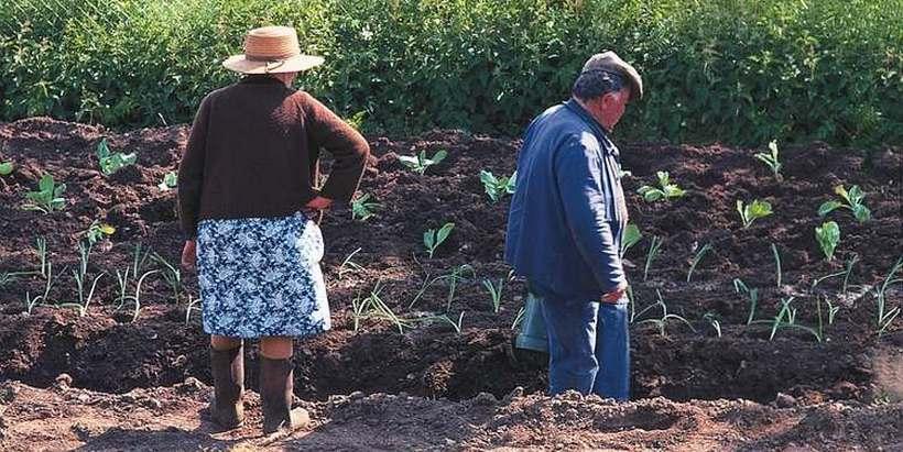 jardiniers_c_pnc.jpg